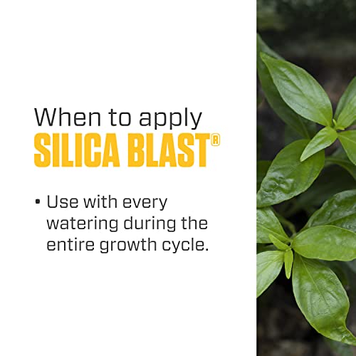 Botanicare Silica Blast, Plant Supplement, 0-0-0.5, 1 qt.