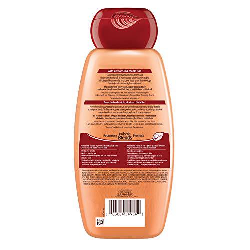 Garnier Whole Blends Castor Oil Castor Oil Remedy Shampoo, 650 mL - Zecoya