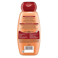 Garnier Whole Blends Castor Oil Castor Oil Remedy Shampoo, 650 mL - Zecoya