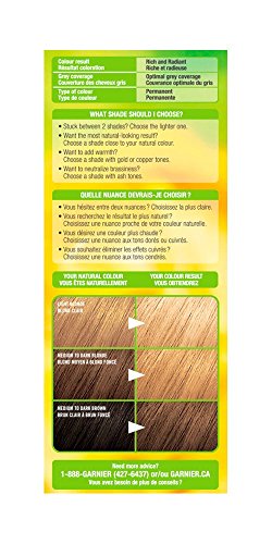 Garnier Nutrisse Cream, Permanent Hair Colour, 700 Dark Neutral Blonde, 100% Grey Coverage, Nourished Hair Enriched With Avocado Oil, 1 Application