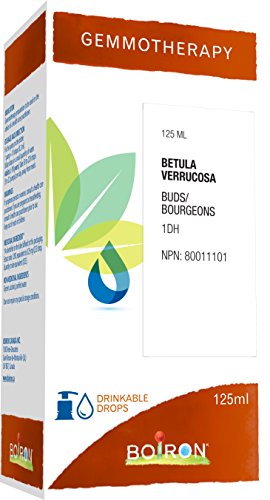 Gemmotherapy, betula verrucosa buds (silver birch) 1dh 125ml, homeopathic medicine 125 milliliter by Boiron Canada