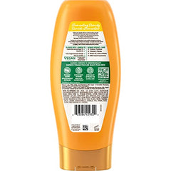 Garnier Whole Blends Illuminating Conditioner Moroccan Argan and Camellia Oils Extracts, 22 fl. oz.