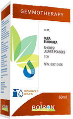 Gemmotherapy, olea europaea shoots (olive) 1dh 60ml, homeopathic medicine 60 milliliter by Boiron Canada