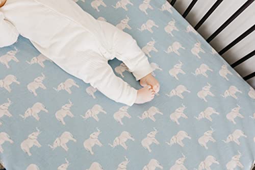 Premium Fitted Knit Crib Sheet/Toddler Sheet Peanut by Copper Pearl
