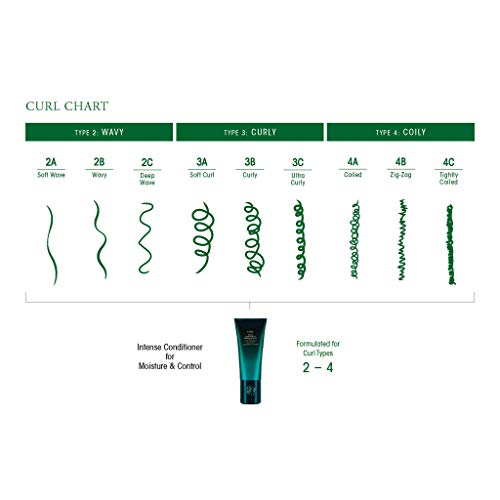 ORIBE Hair Care Intense Conditioner for Moisture & Control 6.8 fluid_ounces