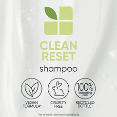 BIOLAGE Cleanreset Normalizing Shampoo To Remove Buildup, 400 millilitres