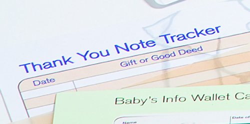 Baby Briefcase Baby Paperwork Organizer, Mint/Periwinkle