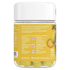 OLLY Probiotic Supplement Mango Chewable Gummy to support gut health with Tropical Mango and other natural flavours 50 gummies