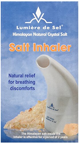 Ecoideas Himalayan Salt Inhaler, 1 Count
