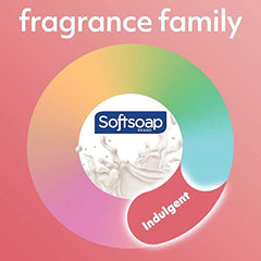 Softsoap Deeply Moisturizing Liquid Hand Soap Pump Warm Vanilla & Coconut Milk 332 Ml