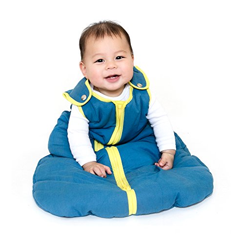 baby deedee Sleep Nest Sleeping Sack, Warm Baby Sleeping Bag, fits Infants and Toddlers, Moonlight Sun, Medium (6-18 Months)