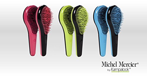 Michel Mercier Detangling Brush for Thick Hair