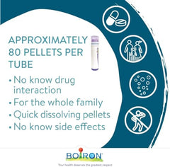 Boiron Rhus Toxicodendron 30CH Homeopathic Medicine, 4g