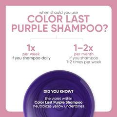 BIOLAGE ColorLast Purple Shampoo, Purple Shampoo For Blondes, Neutralizes Brassy & Yellow Hair Color, Paraben-Free Shampoo, 400 millilitres