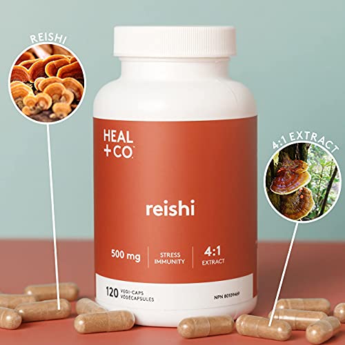 HEAL + CO. Reishi Supplement | High Potency 4:1 extract, 4000 mg per serving | Stress + Immunity | 120 x 500 mg Capsules