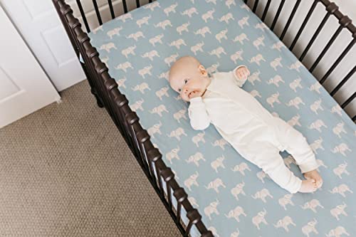 Premium Fitted Knit Crib Sheet/Toddler Sheet Peanut by Copper Pearl