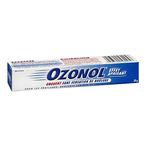 Ozonol Ointment, Original Formula | Non-Stinging | Soothing Relief | For Insect Bites, Scrapes, Minor Burns & Skin Irritations | 30g