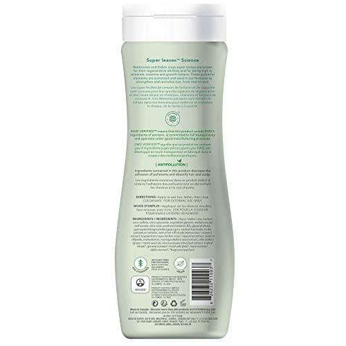 Super Leaves Shampoo Nourishing and Strengthening - Zecoya