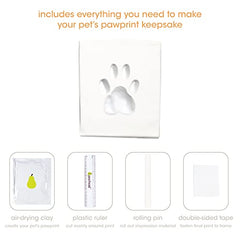 Pearhead Pet Pawprints Desk Picture Frame and Imprint Kit