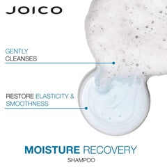 Joico Moisture Recovery Shampoo for Dry Hair, Moisturizing Shampoo for Dry Damaged Hair with Keratin