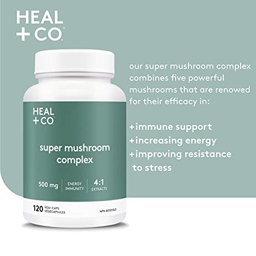 HEAL + CO. Super Mushroom Complex | Energy + Immune Support Supplement | 5 Potent Mushroom Extracts - Chaga + Lion’s Mane + Turkey Tail + Reishi + Cordyceps | 120 x 500 mg Capsules