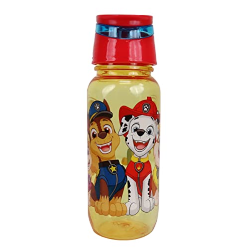 Danawares Paw Patrol Flat Top Water Bottle for Kids, Storage Capacity 450ml, Lightweight, Leak-proof and Portable