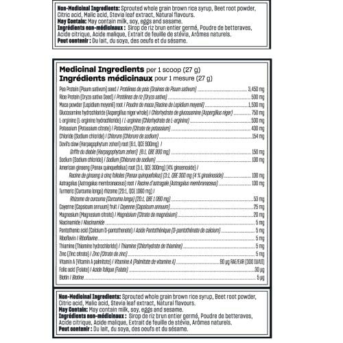 Vega Sport Post-Workout Recovery Accelerator, Apple Berry (20 Servings) Vegan, Non Dairy, Gluten Free, BCAAs, 540g (Packaging May Vary)