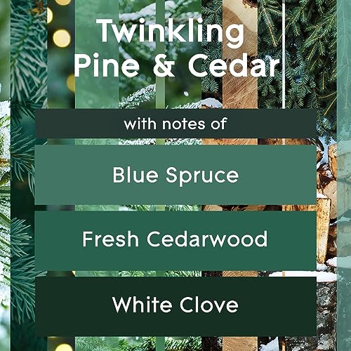 Glade Scented Candle, Twinkling Pine & Cedar, Limited Edition, 3-Wick Candle, Air Freshener Infused with Essential Oils for Home Fragrance, 1 Count