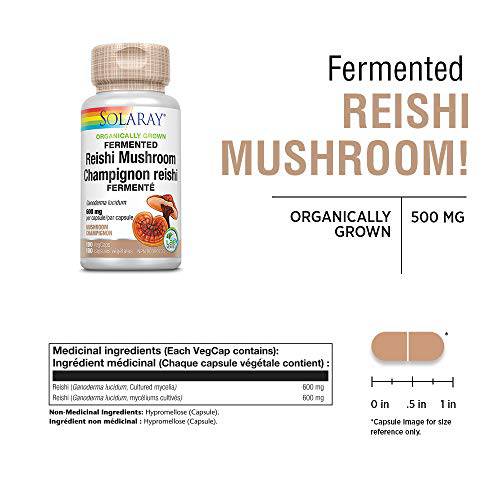 Solaray Organically Grown Fermented Reishi Mushroom 600mg | Healthy Immune, Heart & Brain Function Support | Energy & Mood Supplement | 100 VegCaps