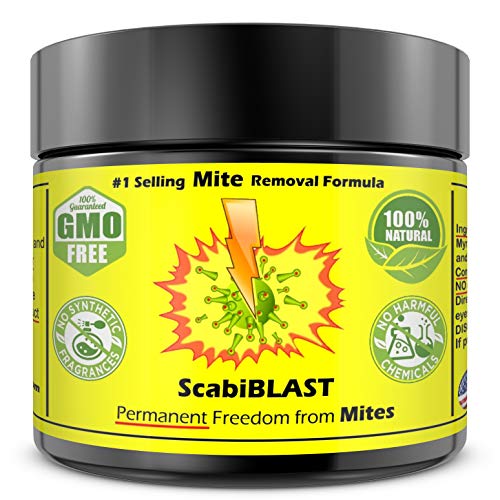Mite Cream Lotion Natural Blend for Humans of All Ages ScabiBLAST FAST PERMANENT Removal Killer of ALL Mites Better Than Shampoo Permanently Get Rid of Mites Most Powerful Blend BIG 2oz Jar