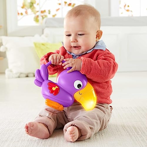 Fisher-Price Rainforest Music & Lights Deluxe Gym, 1 Count (Pack of 1)