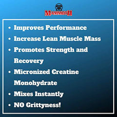 Mammoth Creatine 300gm