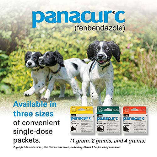 Panacur C Canine Dewormer (Fenbendazole), 4 Gram
