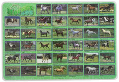 PAINLESS LEARNING PLACEMATS-Popular Horses-Placemat
