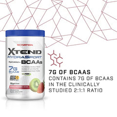 XTEND Hydrasport BCAA Powder Strawberry Kiwi | Informed-Sport Certified + Sugar Free Post Workout Muscle Recovery Drink with Amino Acids | 7g BCAAs for Men & Women | 30 Servings