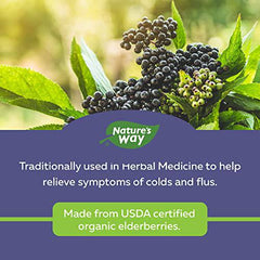 Nature's Way Sambucus Organic Cold and Flu Care – Elderberry Syrup Used in Herbal Medicine to Help Relieve Symptoms (Coughs and Sore Throats) in Adults, 120 ml