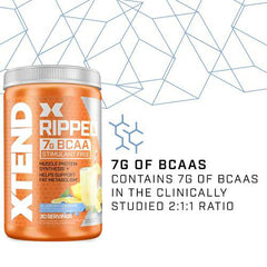 XTEND Ripped BCAA Powder Blueberry Lemonade | Cutting Formula + Sugar Free Post Workout Drink with Amino Acids | 7g BCAAs for Men & Women | 30 Servings - Packaging May Vary, 501 g (Pack of 1)