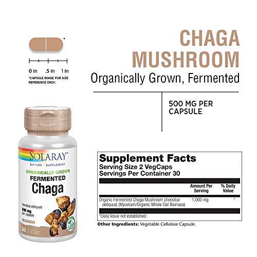 Solaray Organically Grown Fermented Chaga Mushroom 500 mg | Healthy Immune Function Support | 30 Servings | 60 VegCaps