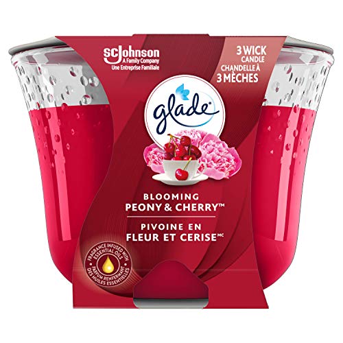 Glade Scented Candle, Blooming Peony and Cherry, 3-Wick Candle, Air Freshener Infused with Essential Oils for Home Fragrance, 1 Count