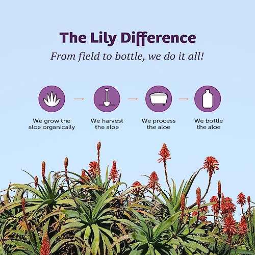 Lily Of The Desert Aloe Vera Gel Whole Leaf-Plastic, 946 Milliliter