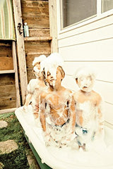 Sun Bum Baby Bum Shampoo & Body Wash -Tear Free Foaming Soap For Sensitive Skin with Nourishing Coconut Oil - 355 mL