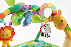 Fisher-Price Rainforest Music & Lights Deluxe Infant Gym