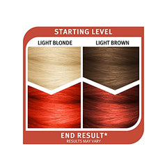 SPLAT Midnight Amber Bleach-Free Hair Coloring Kit – Lasts Up to 30 Washes