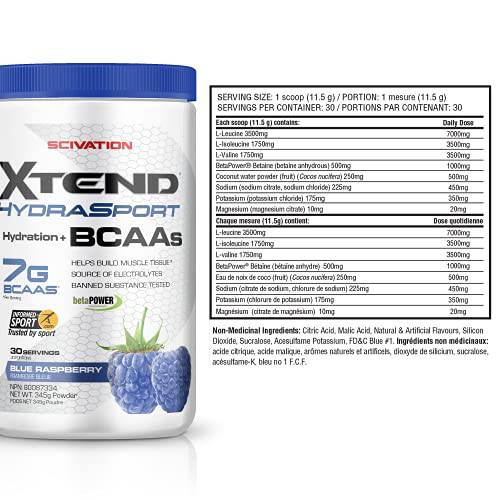 XTEND Hydrasport BCAA Powder Blue Raspberry | Informed-Sport Certified + Sugar Free Post Workout Muscle Recovery Drink with Amino Acids | 7g BCAAs for Men & Women | 30 Servings