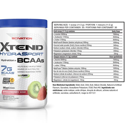 XTEND Hydrasport BCAA Powder Strawberry Kiwi | Informed-Sport Certified + Sugar Free Post Workout Muscle Recovery Drink with Amino Acids | 7g BCAAs for Men & Women | 30 Servings