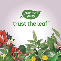 Nature's Way Turmeric / 60 Veg Tabs