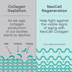 Neocell Collagen Protein Peptides, Powder, Supports Healthy Hair, Skin & Nails (Packaging may vary), 20 servings