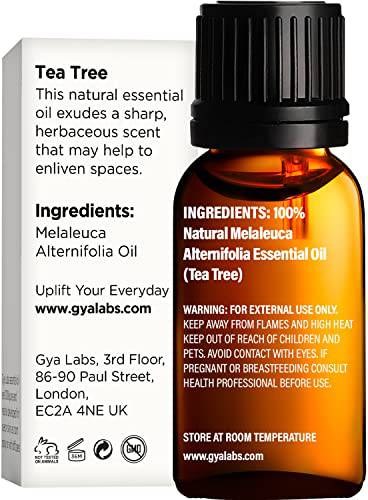 Gya Labs Pure Australian Tea Tree Oil for Skin, Hair, Face & Toenails (0.34 fl oz) - 100% Therapeutic Natural Melaleuca Tea Tree Essential Oil for Piercings, Scalp & Hair Growth