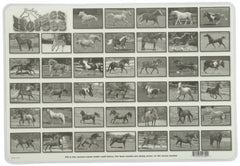 PAINLESS LEARNING PLACEMATS-Popular Horses-Placemat