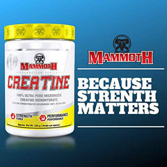 Mammoth Creatine 300gm